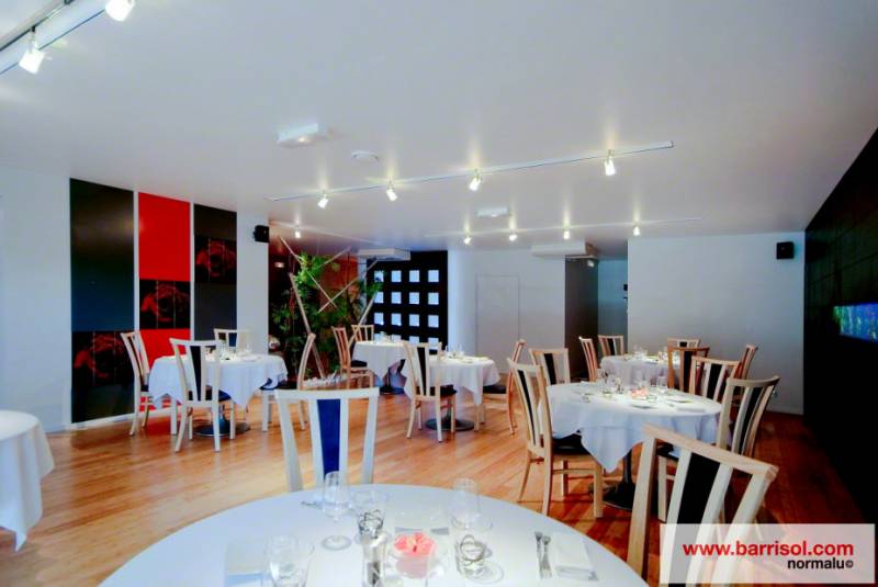 Artisan pour création de faux plafonds ou rénovation de plafond pour restaurant sur Foix