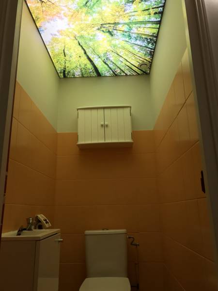 Plafond tendu BARRISOL lumineux et imprimé dans WC, Beaumont sur Lèze