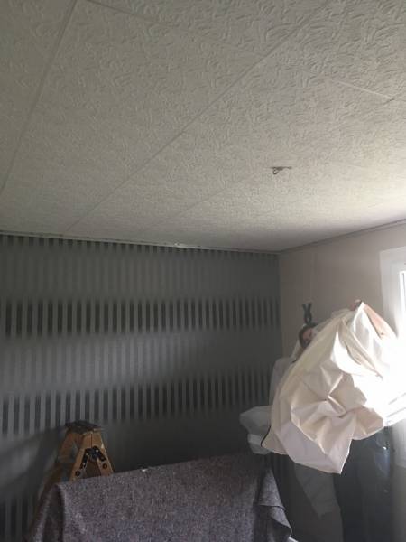 Plafond en plaques de polystyrène sur Nailloux - Plafonds Tendus Occitans Portet s/G.