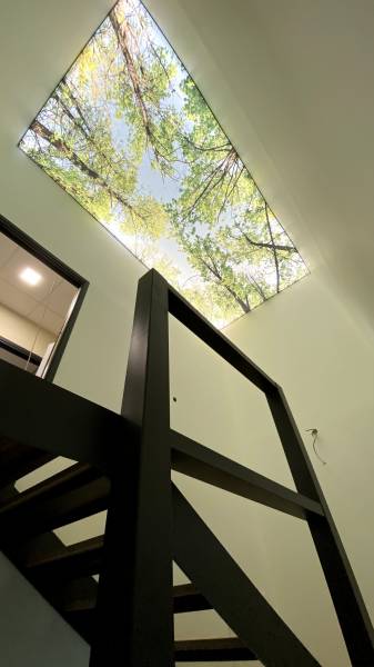 cage d'escalier  toiles tendues imprimées - Plafonds Tendus Occitans Toulouse