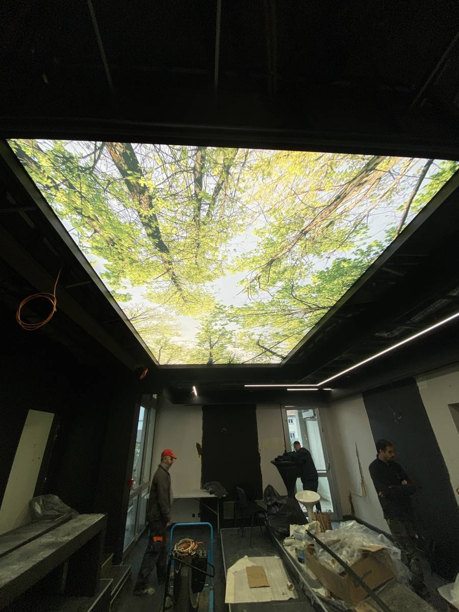 CROEC de Toulouse : plafond imprimé acoustique dans salle du conseil - Plafonds Tendus Occitans Blagnac