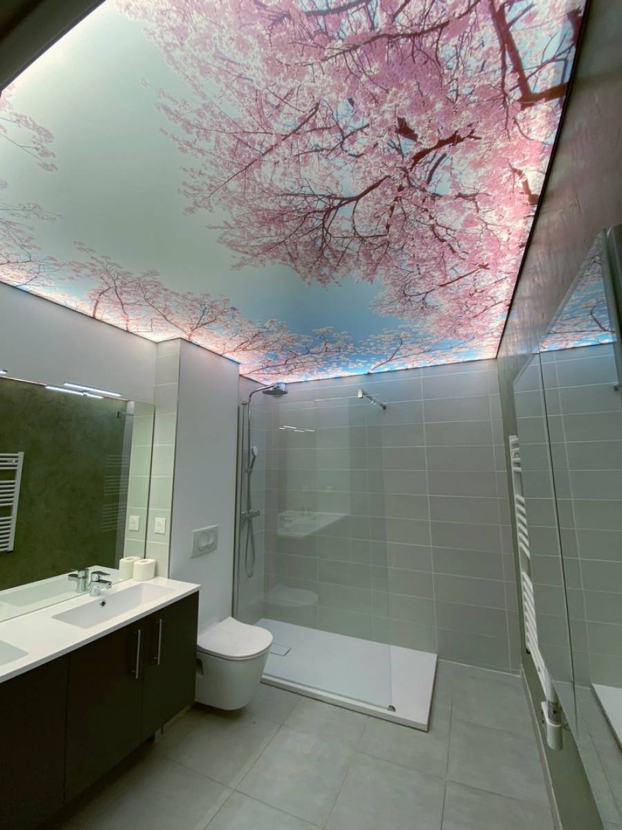 Salle de bains : plafond tendu lumineux imprimé  Blagnac by Plafonds Tendus Occitans