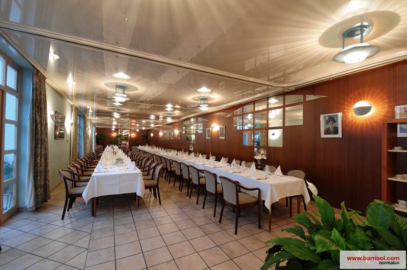 Artisan pour création de faux plafonds ou rénovation de plafond pour restaurant sur Grenade