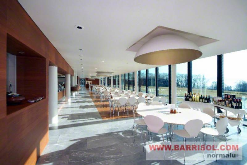 Artisan pour création de faux plafonds ou rénovation de plafond pour restaurant sur Muret